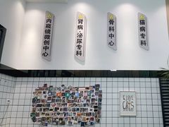 -半岛宠物医院24小时(科华中路店)