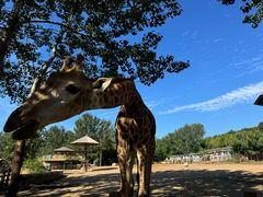 -大连森林动物园