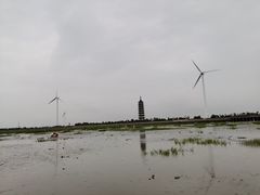 -奉贤海滩