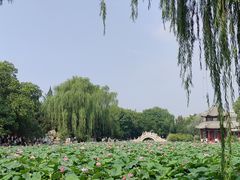 -莲池书院博物馆