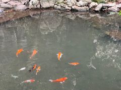 -灵隐飞来峰景区