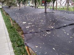 -莲湖公园