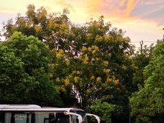 -西山漾湿地公园