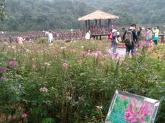 android_upload_pic-广州市石门国家森林公园