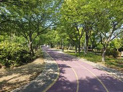 -尚贤河湿地