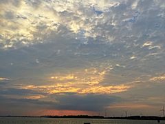 -丫丫蟹庄·苏式园林农家乐·阳澄湖大闸蟹(阳澄湖莲花岛店)