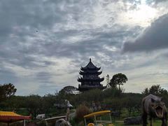 -上海海湾国家森林公园