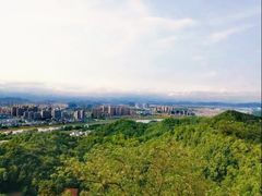 -云碧峰国家森林公园