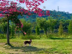 -风云岭森林公园