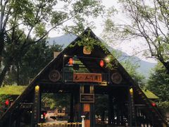 -天门沟九州驿站树上汤泉