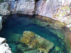 -天门沟九州驿站树上汤泉