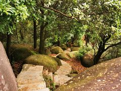 -火炉山森林公园