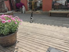 -萤火虫咖啡(后海店)