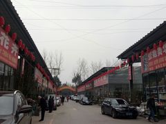 -金科花卉市场
