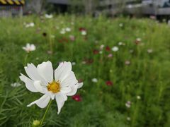 -北沙滩(地铁站)