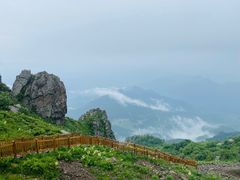 -白草畔自然风景区