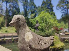 -玉苍山国家森林公园