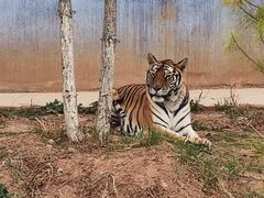 -青藏高原野生动物园