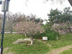 -丰台花园