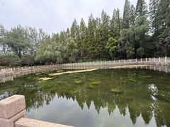 -南京金牛湖风景区