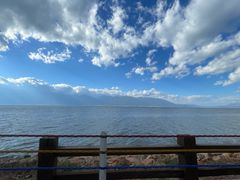 -洱海月湿地公园