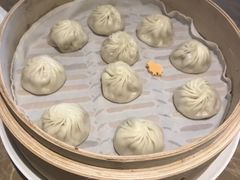 -上海环球金融中心骑迹50年环球之旅