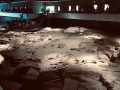 -自贡恐龙博物馆