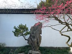 -杭州植物园
