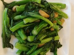 炒菜心-朱仔记食府(江南大道店)