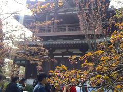 -西安青龙寺遗址景区