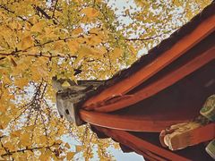 -金堂县云顶石城风景区