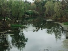 -春花秋色城市公园