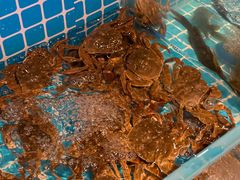 -焰江山海鲜牛排烤肉自助(锦华万达二星店)
