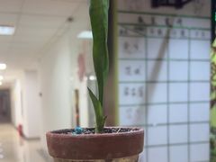 -学习谷日语培训日本留学·多语种外语教学(海淀人大分部)