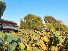 -达活泉公园