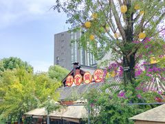 -龙潭水乡