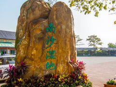 -大湾区中央湿地公园
