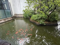 -广富林宰相府酒店·水云间