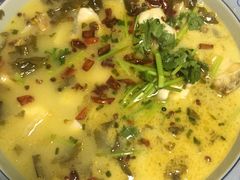 -鲤鱼塘农家山庄