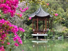 -云溪植物园