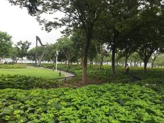 -苏州吴宫泛太平洋酒店