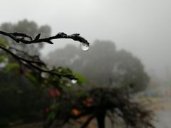 -南山植物园