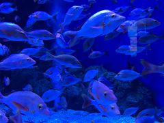 -成都浩海立方海洋公园