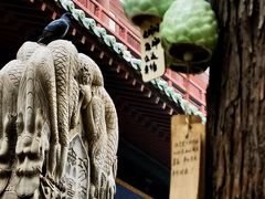 -隆兴寺