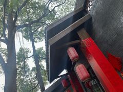 -成飞公园