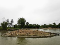 -盐城丹顶鹤湿地生态旅游区
