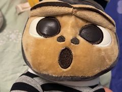 -PAWTOY爪e玩偶店(天兴罗斯福店)