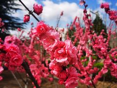 -中关村生命科学园