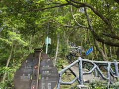 -梧桐山风景名胜区