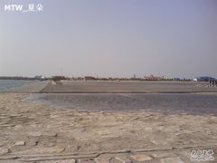 -碧海金沙